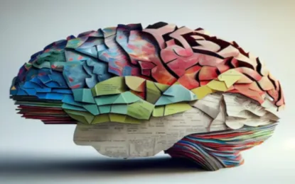 Kolorowy model mózgu